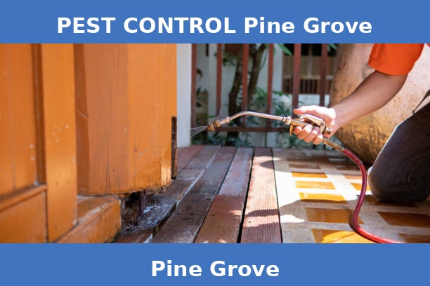 PEST CONTROL Pine Grove